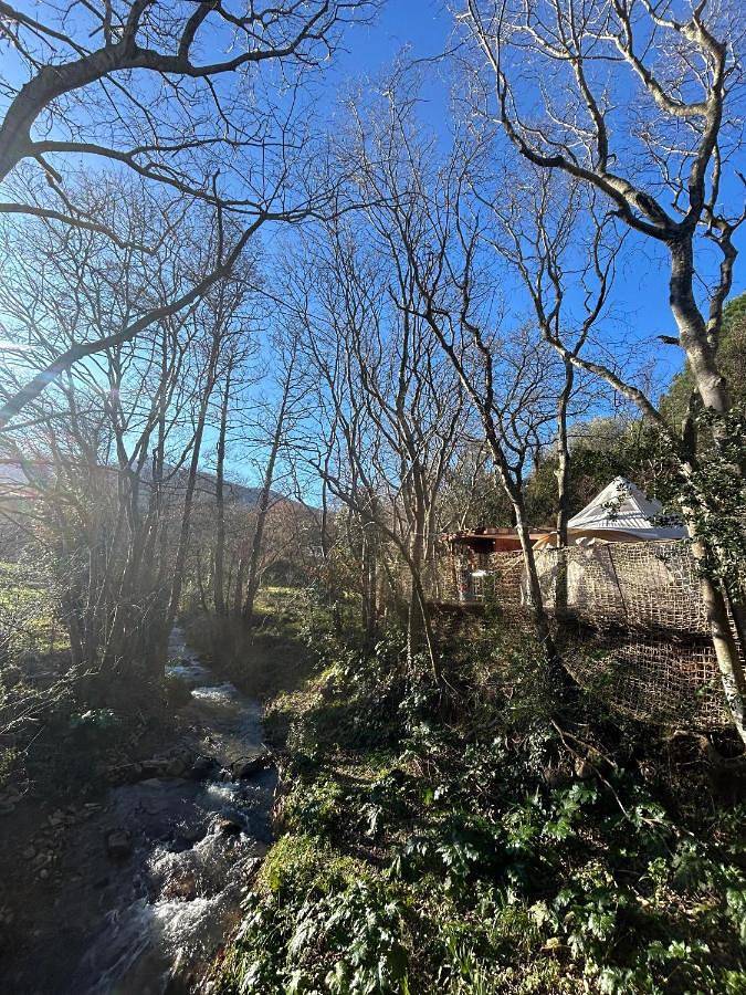Gîte pour 4 personnes, avec jardin et vue ainsi que piscine et terrasse à Montesquieu-des-Albères - 4