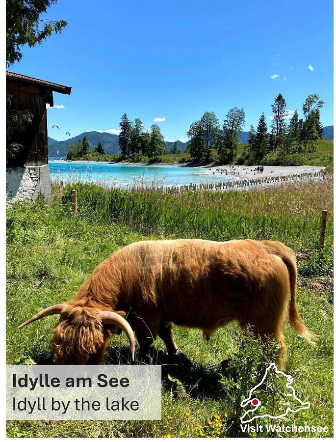 Geheel appartement, One-Bedroom Apartment in Walchensee