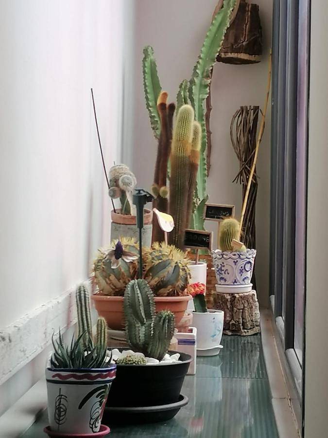 Casa rural para 6 personas, con vistas y jardín en Hoya de Huesca - 3