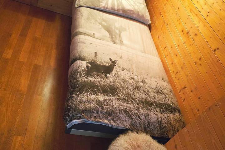 Gîte pour 7 personnes, avec jardin et piscine, animaux acceptés dans Champex-Lac - 4