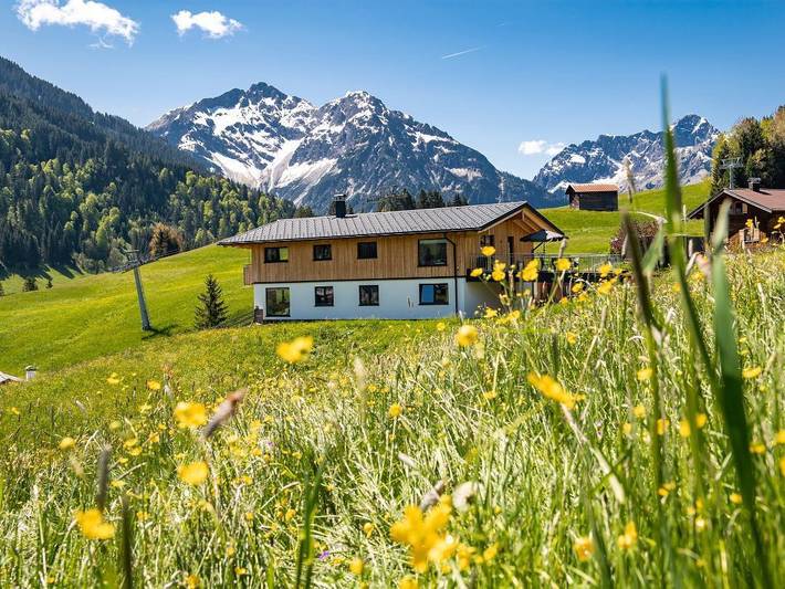Ferienwohnung für 6 Personen, mit Garten und Balkon, kinderfreundlich im Kleinwalsertal - 2