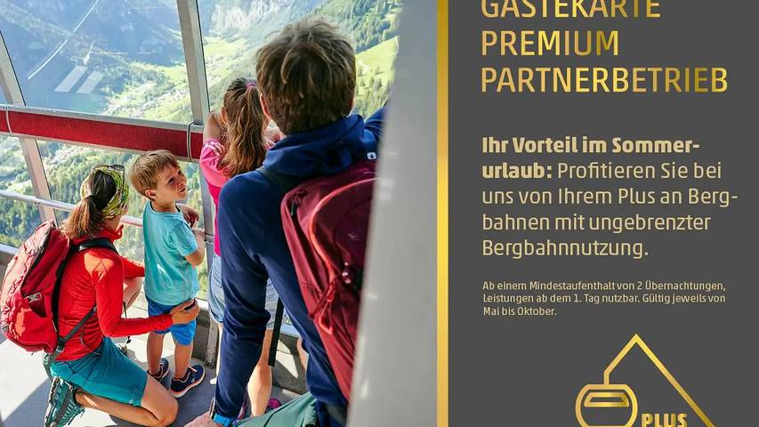Ferienwohnung für 7 Personen, mit Terrasse in Dalaas - 2