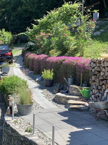 Ferienhaus für 4 Personen, mit Terrasse und Garten, mit Haustier im Tessin