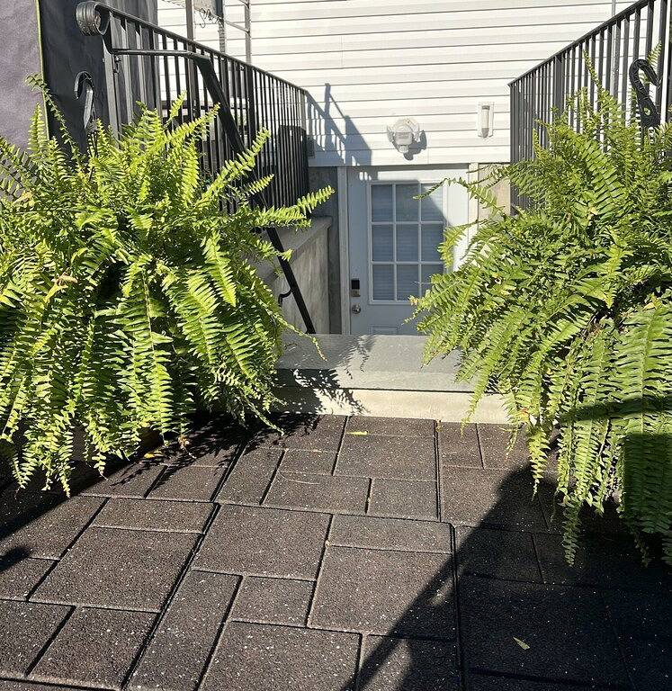 Cozy and Stylish 1 Bedroom Guest Suite in Mastic, North Fork