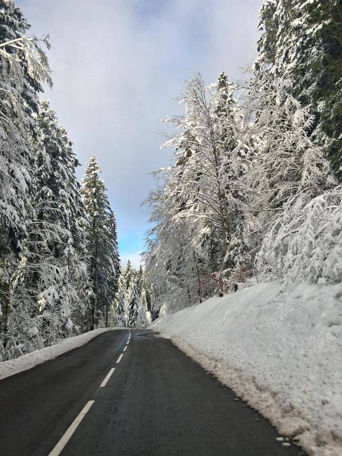 Gîte pour 2 personnes, avec jardin à Châtillon-en-Michaille - 3