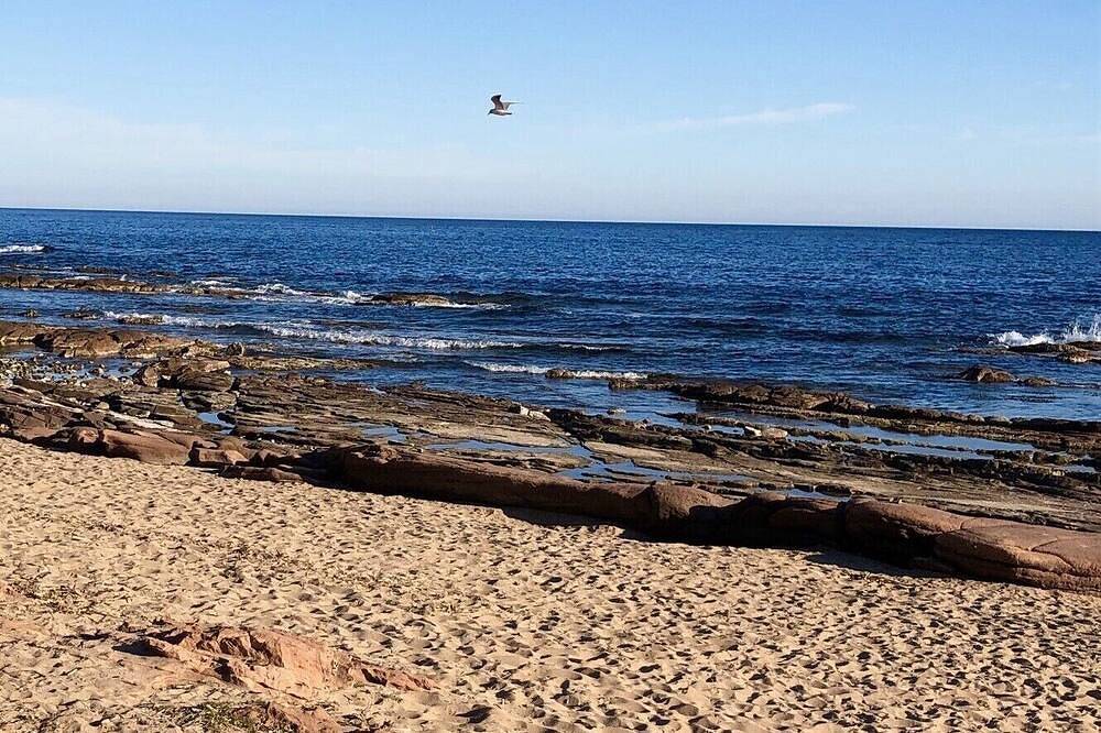 Appartement entier, Bastidon de charme T2 au cœur d’une ancienne palmeraie à 100 m de la plage in Boulouris, Saint-Raphaël