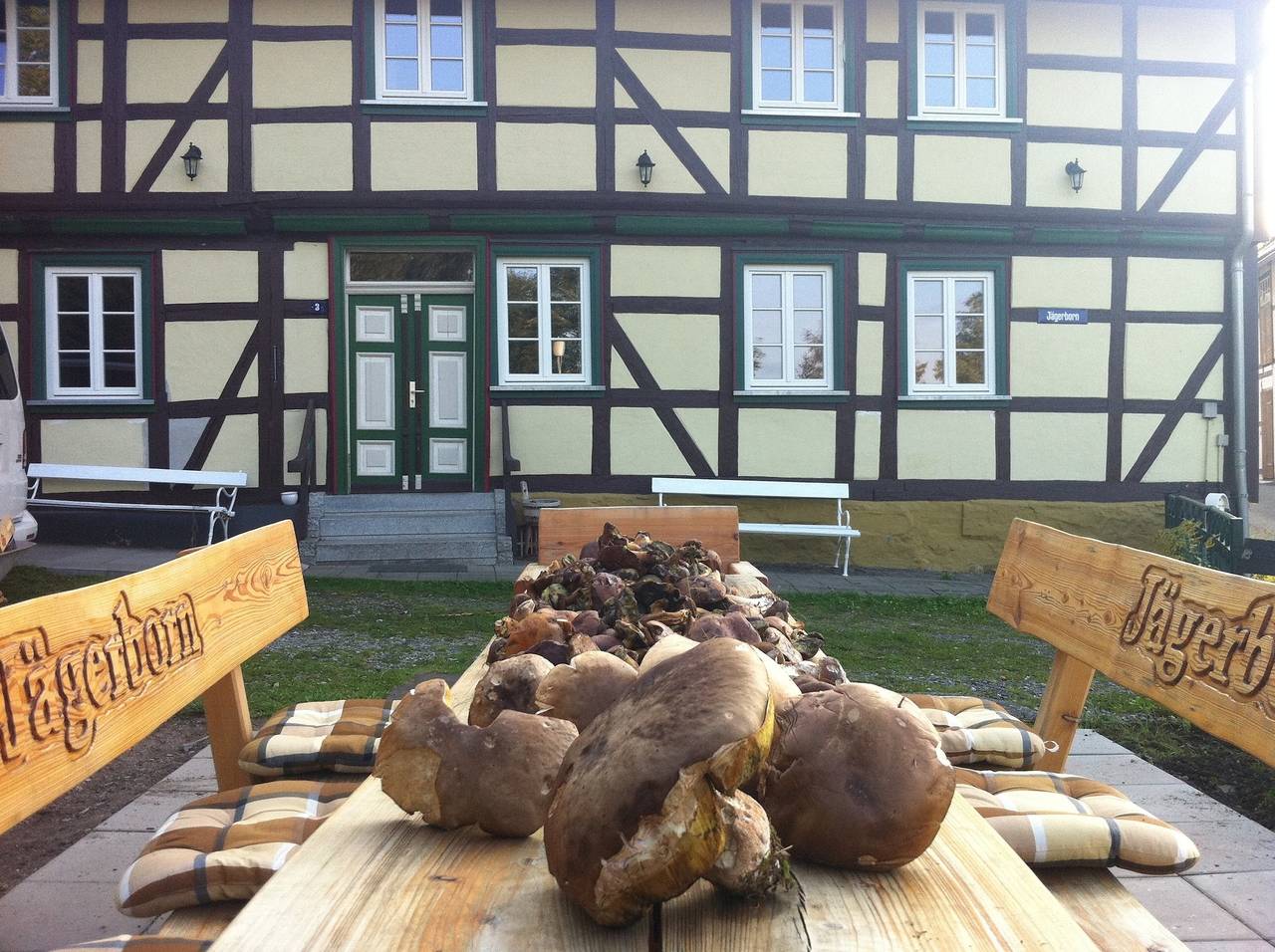 Hausjägerborn in Tanne, Harzvorland