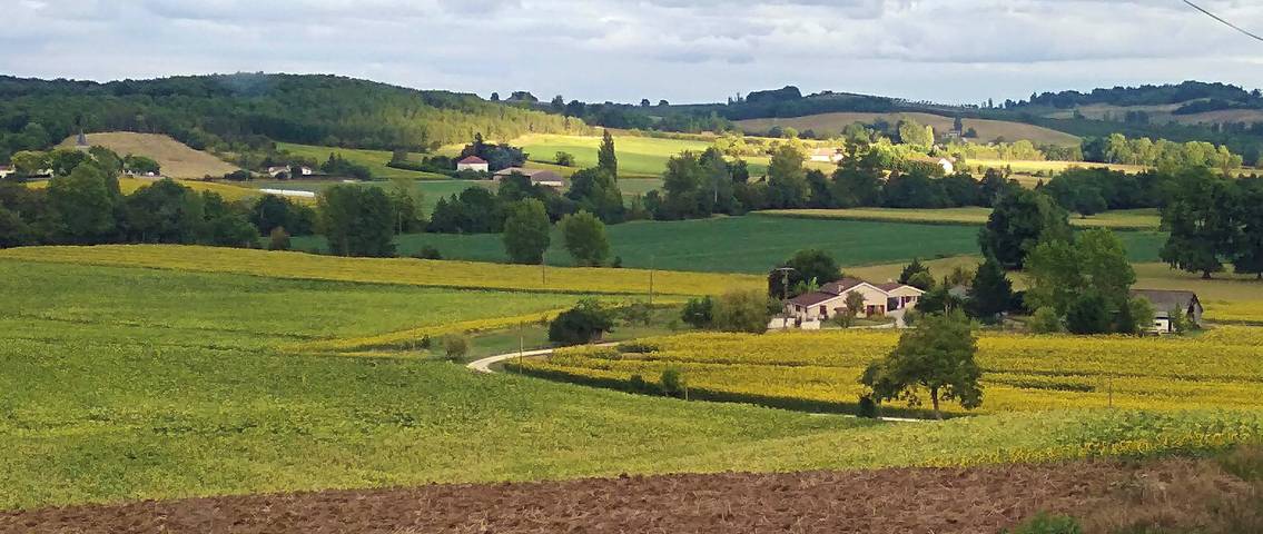 Gîte pour 6 personnes, avec jardin ainsi que terrasse et piscine dans le Lot-et-Garonne - 4