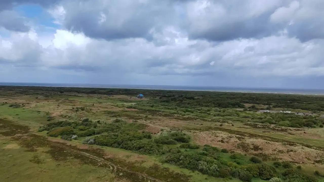 Ferienhaus für 6 Personen (45 m²) in Skagen in Skagen, Tannis Bugt