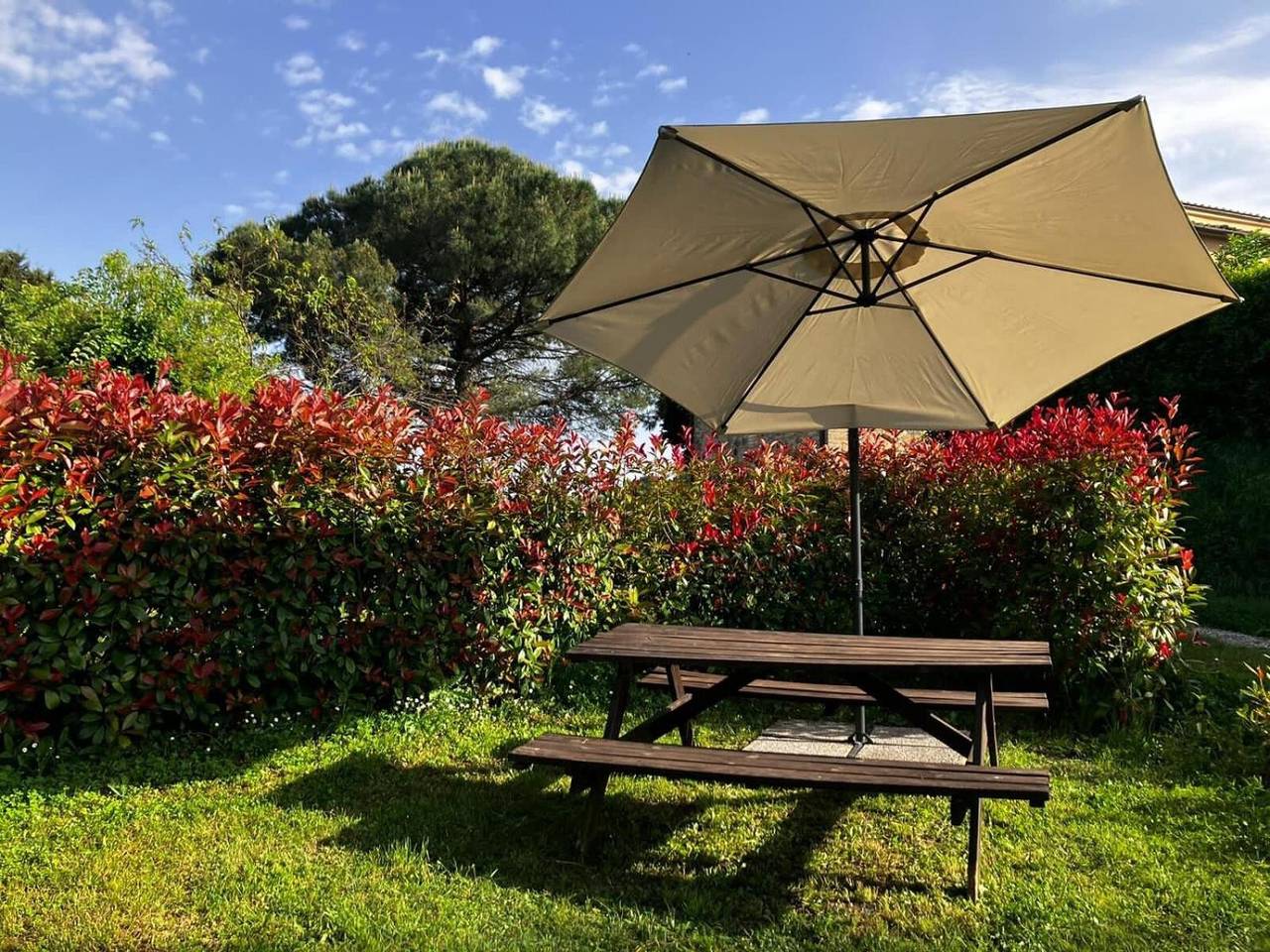 Ganze Wohnung, Ferienwohnung 'La Casina Nel Borgo' mit Bergblick, privater Terrasse und Wi-Fi in Cetona, Chianti