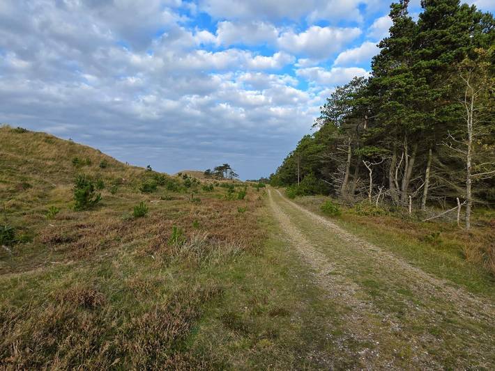 Ferienhaus für 14 Personen, mit Whirlpool und Terrasse, mit Haustier in Nissum Fjord - 4