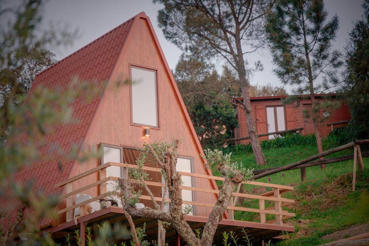 Apartamento inteiro, Cabana Oliveira in Raiva, Pedorido e Paraíso, Distrito de Aveiro