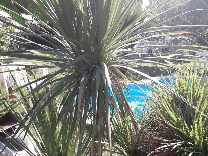 Gîte pour 3 personnes, avec balcon et jardin à Tivoli - 4