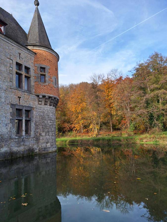 Gîte pour 6 personnes, avec vue et jardin à Yvoir - 4