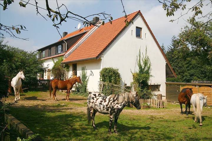 Appartement de vacances entier, 4-Bettwohnung - Nichtraucher in Pronsfeld, Naturpark Hohes Venn-Eifel