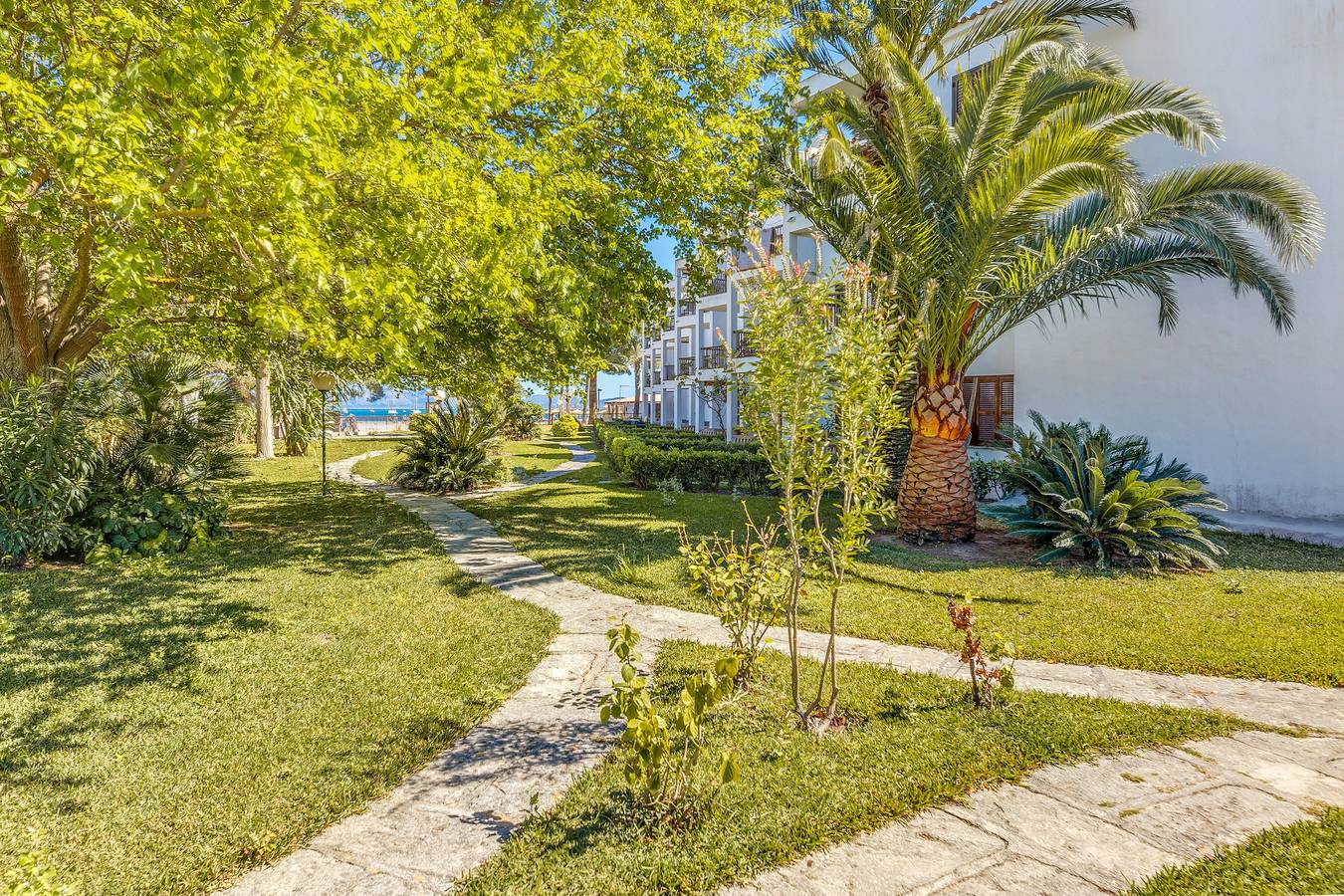 Ganze Wohnung, Ferienwohnung Ana Playasol direkt am Strand mit Meerblick in Playa de Alcúdia, Alcúdia