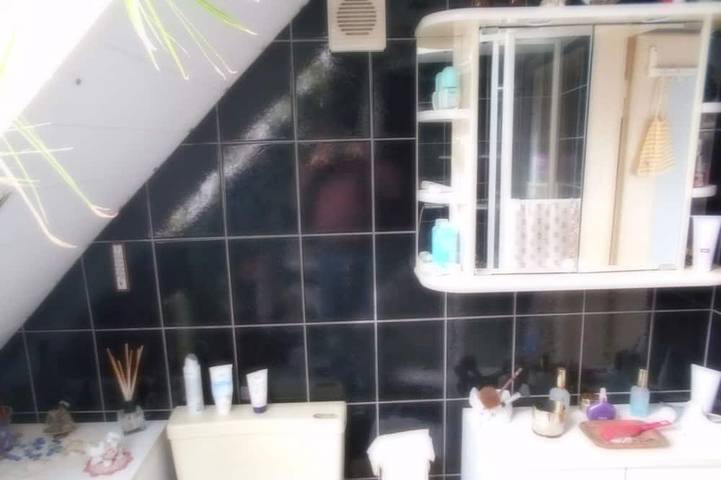 Ferienwohnung für 3 Personen, mit Balkon und Garten in Dankerode - 2