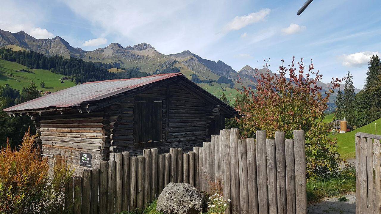Ferienhaus für 4 Personen (59 m²) in Adelboden in Adelboden, Frutigen - Lenk - Adelboden