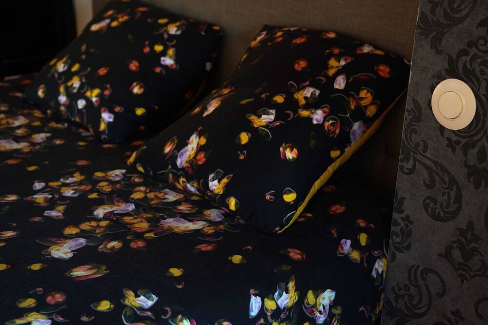 Ganze Wohnung, Apartment and suite - - Geisha in Libourne, Libourne und Umgebung