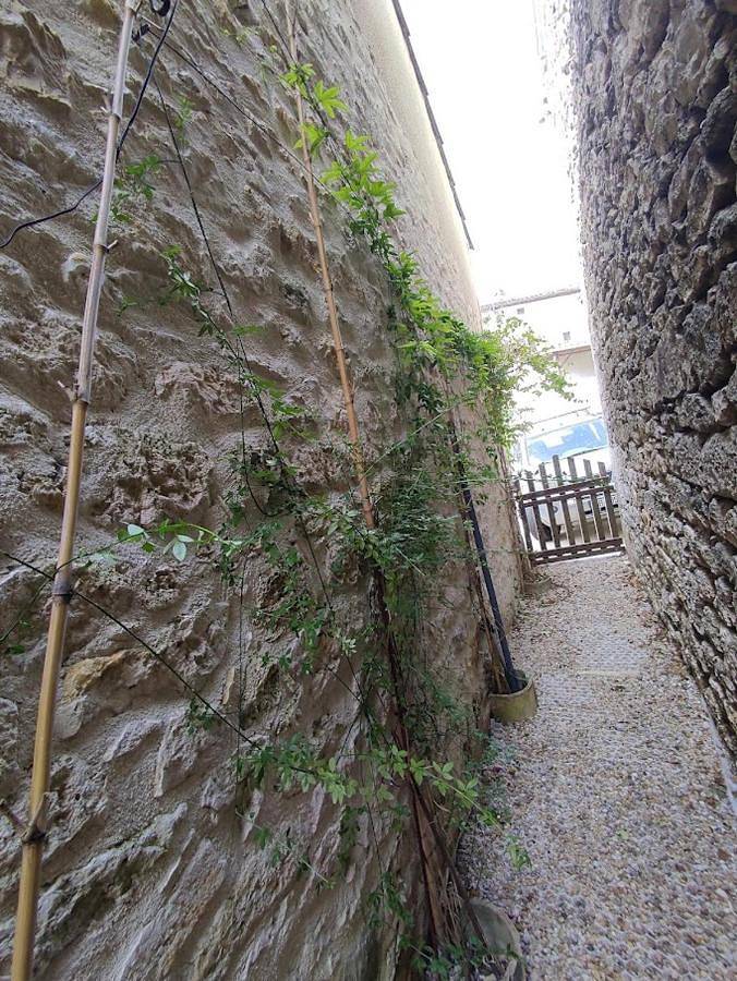 Location de vacances pour 6 personnes, avec jardin à Montcuq - 4