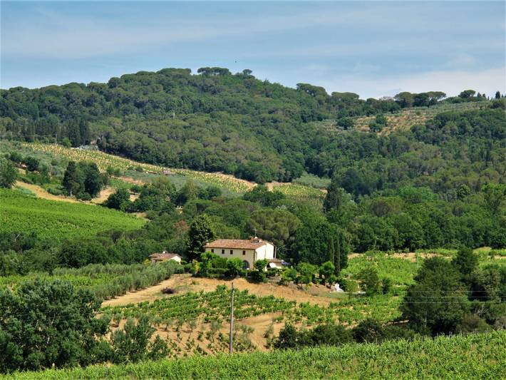 Location de vacances pour 4 personnes, avec jardin ainsi que terrasse et vue, animaux acceptés à Scandicci - 2