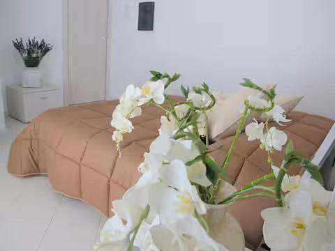 Maison d’hôte pour 6 personnes, avec jardin ainsi que vue et terrasse dans Olbia - 2