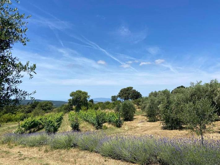 Bungalow für 2 Personen, mit Pool und Garten sowie Ausblick, mit Haustier in der Maremma - 2