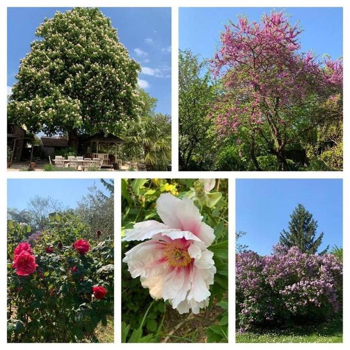 Chambre d’hôte pour 2 personnes, avec piscine et jardin à Tavers