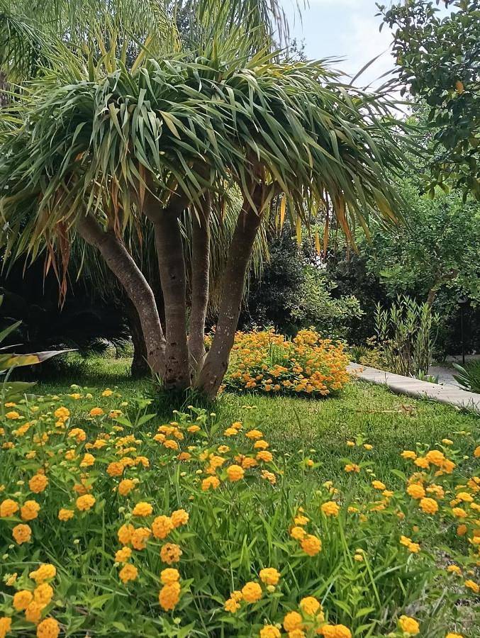 Appart’hôtel pour 4 personnes, avec vue et jardin