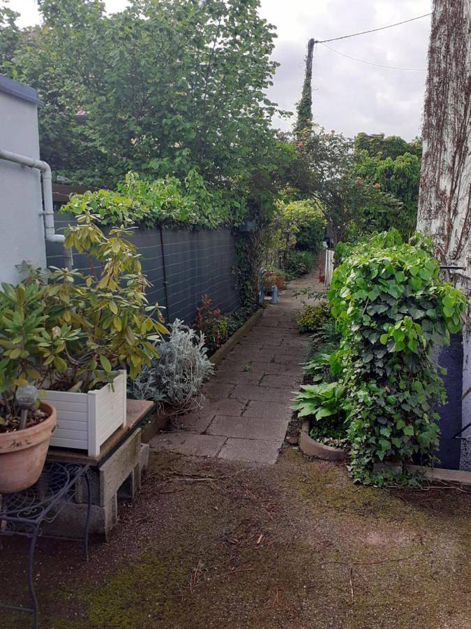 Gîte pour 6 personnes, avec terrasse et jardin, animaux acceptés dans Logelbach - 2