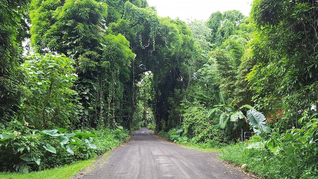 Ocean Bluff Home an der Hamakua-Küste ~ Ideal für Familien! in Hamakua