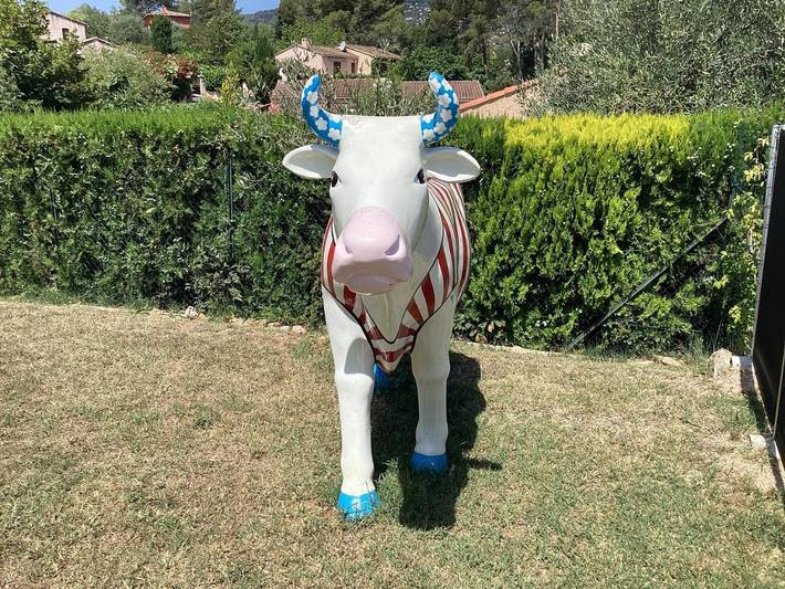 Location de vacances pour 4 personnes, avec piscine et vue ainsi que jardin et terrasse, adapté aux familles à Peymeinade - 3