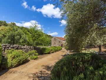Agriturismo per 13 Persone in Lama, Corsica del Nord, Foto 2