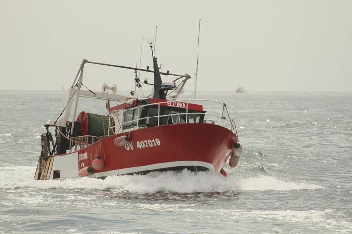 Location de vacances pour 2 personnes, avec piscine et sauna ainsi que terrasse et jardin, animaux acceptés à Treffiagat - 4