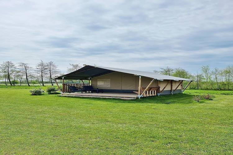 Tent voor 4 Personen in Nationaal Park De Alde Feanen, Friesland