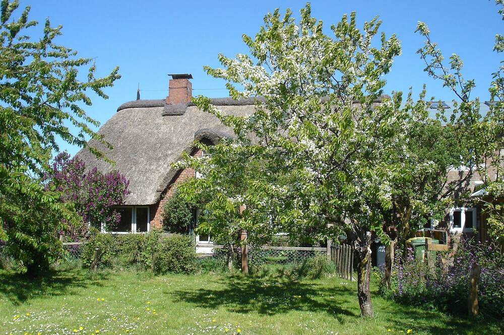 Reetgedecktes Friesenhaus von 1860, ideale Familienunterkunft Haustierfreundlich in Böhl (St. Peter-Ording), St. Peter-Ording