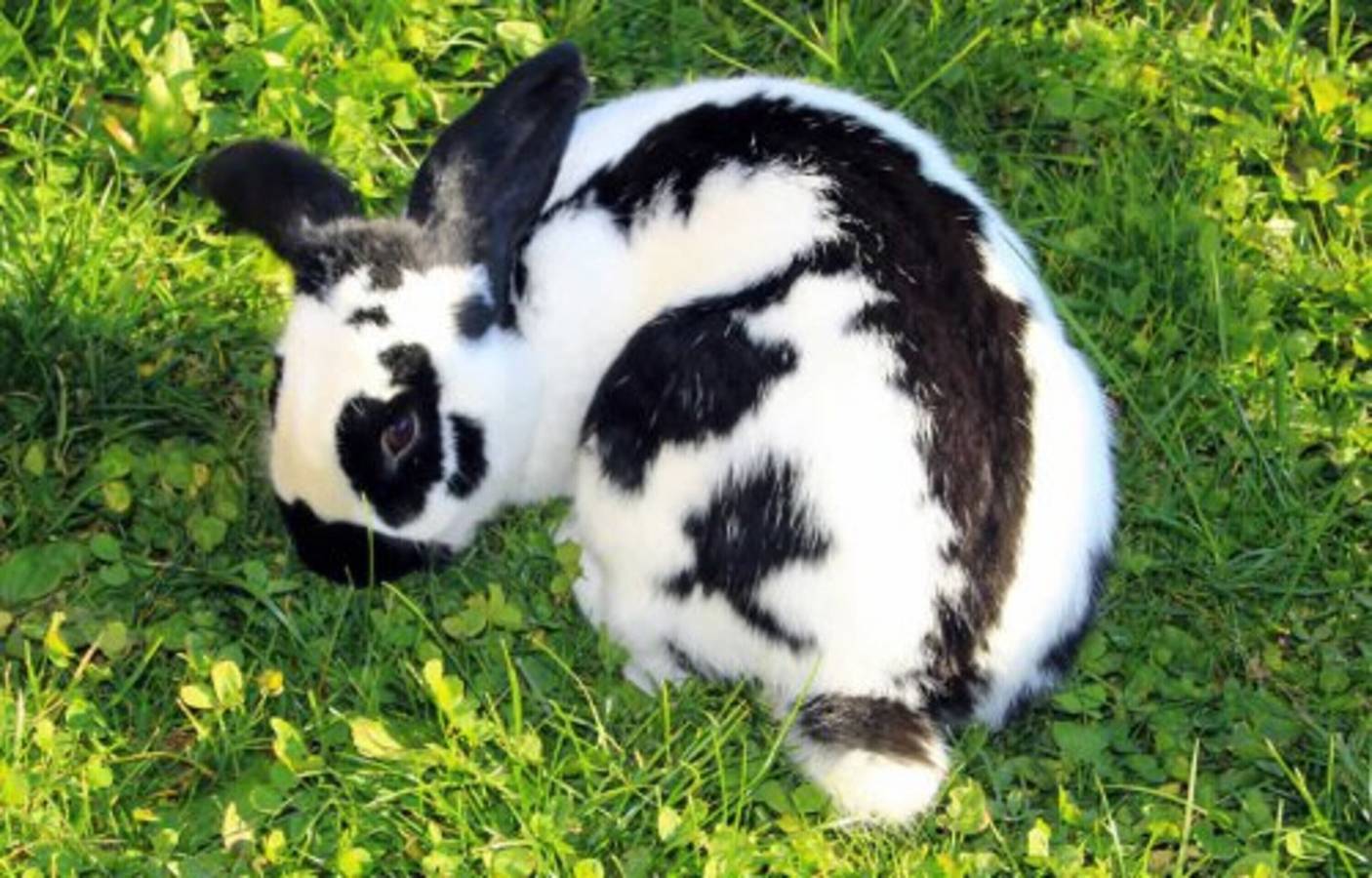 Appartamento intero, Appartamento 'Bergblick' con vista montagna, terrazza condivisa e Wi-Fi in Santa Maddalena (Valle Isarco), Funes