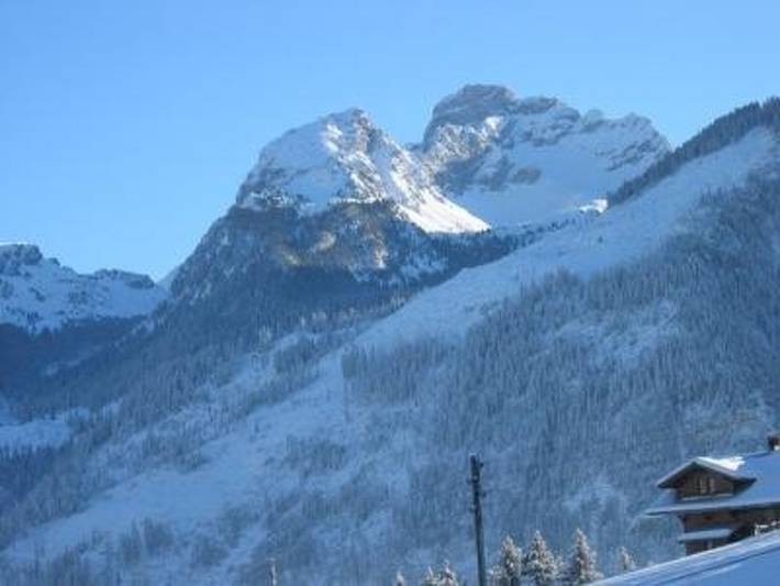 Ganze Wohnung, Panorama, Chalet in Saanenmöser, Zweisimmen