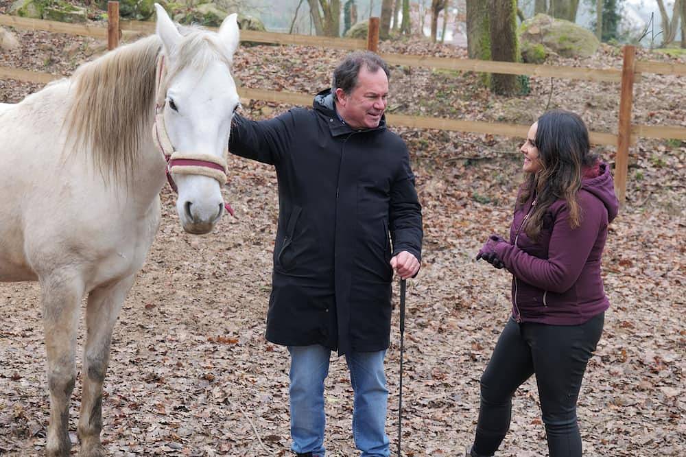 Nuit au Ranch Horse Paradise avec Jaccuzzi privatisé et Piscine in Boutigny-sur-Essonne, Parc naturel régional du Gâtinais français
