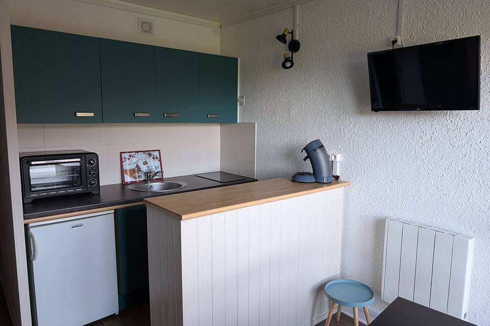 Entire apartment, Renovated studio with Wifi, pets allowed in Le Lioran, Laveissière