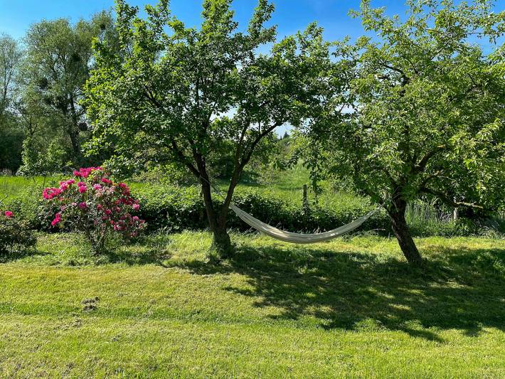 Ferienhaus für 10 Personen, mit Terrasse und Garten, mit Haustier in Boitzenburger Land - 2