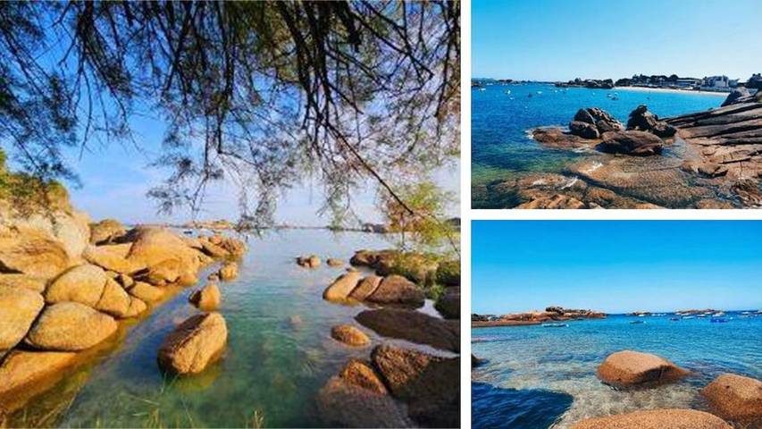 Gîte pour 7 personnes, animaux acceptés dans Port Coz Pors - 3