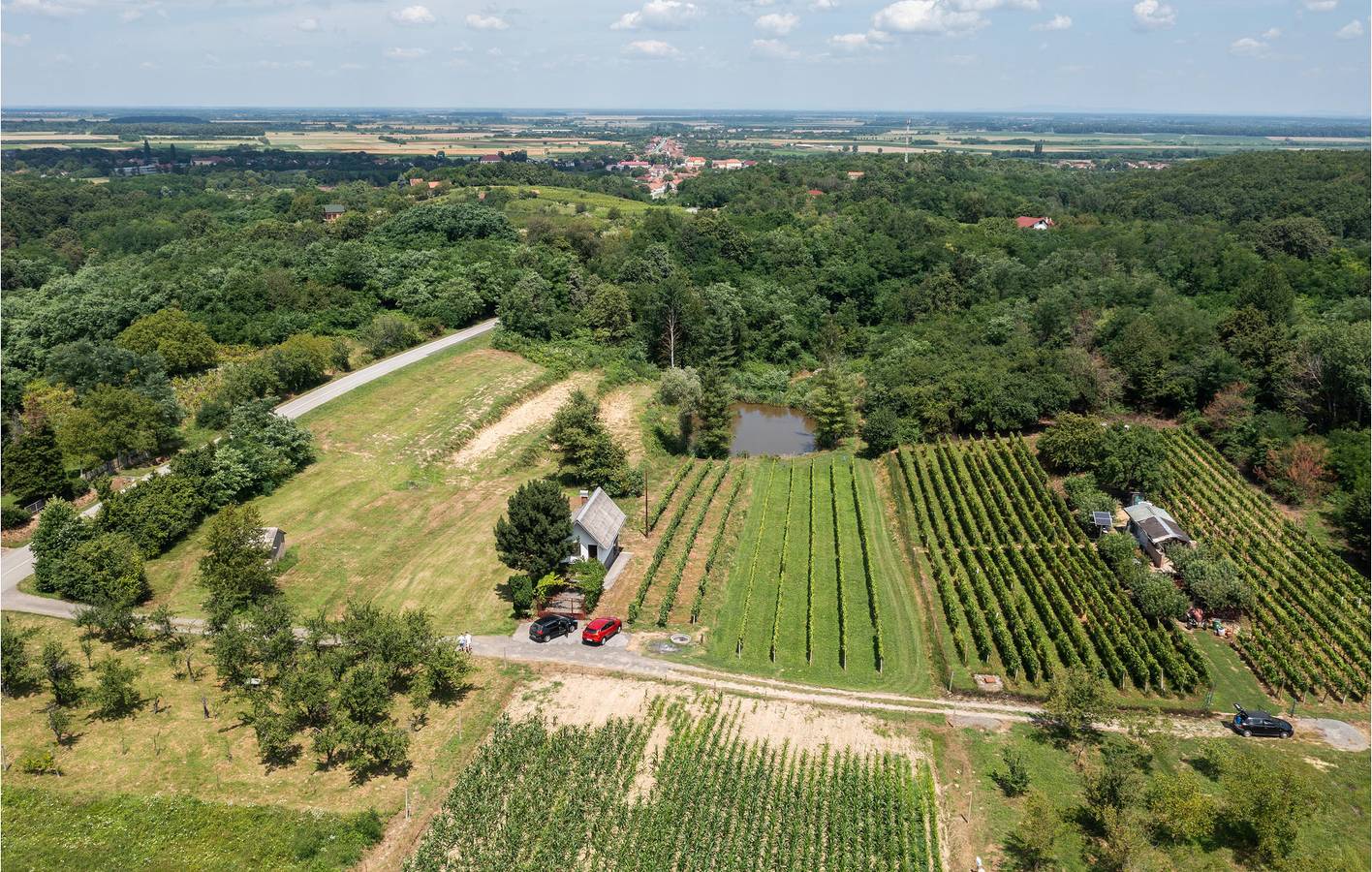 Reizende 1-Zimmer-Wohnung mit Pool, Terrasse und WLAN-Zugang in Osijek-Baranja