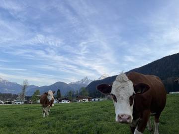 Ferienwohnung für 4 Personen in Bischofswiesen, Bayerische Alpen, Bild 2