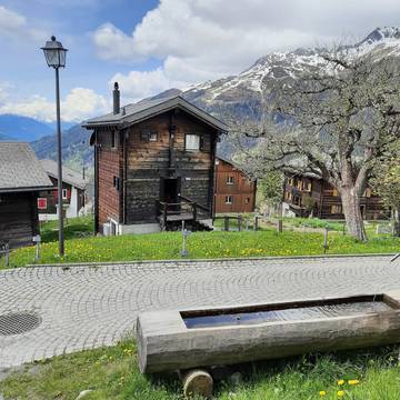 Chalet für 5 Personen in Bellwald, Goms, Bild 4