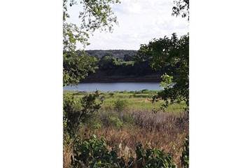 Camping for 5 Guests in Burnet County, Picture 3