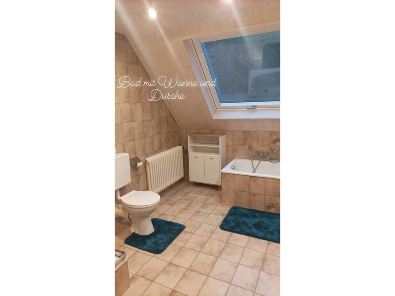 Ganze Wohnung, Ferienwohnung 'Wiesenblick' mit Balkon und Wlan in Oberharmersbach, Mittlerer Schwarzwald