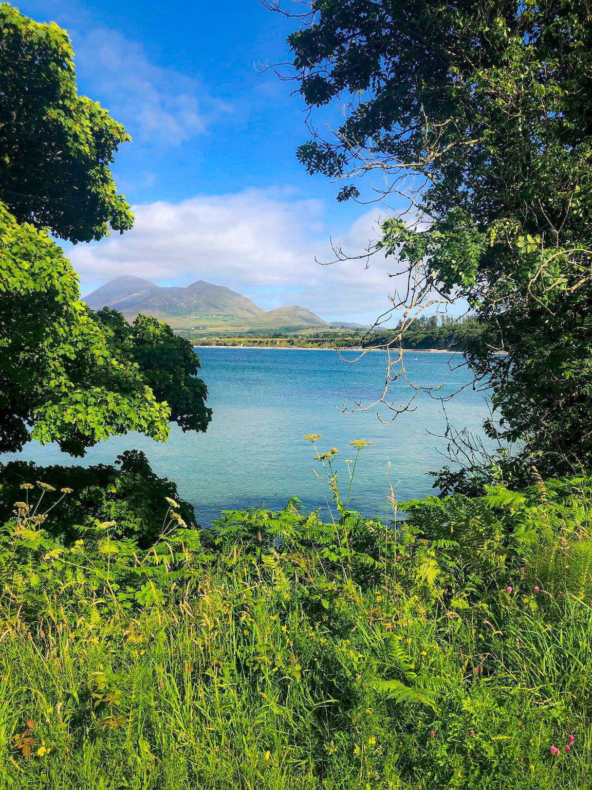 Springwood Cottage Louisburgh in Louisburgh, County Mayo