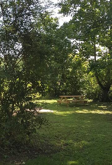 Camping für 4 Personen in Blue Ridge Mountains, North Carolina, Bild 1