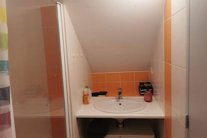 Gîte pour 3 personnes, animaux acceptés à Blain (homonymie) - 3